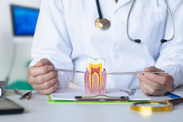 Best Emergency Tooth Extraction in Scotchtown, NY